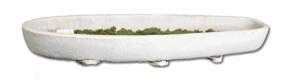 WEB Living Cocoon Mushroom Casket Open Shadow.webp