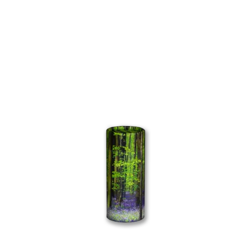 [STB-10]  Scattering Tube |Token / 10 CI / No. 0|​​​​​ (Bluebell Forest)