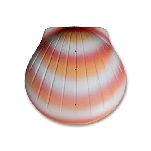 [CS-01] The Shell™ Urn (Coral)