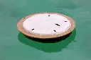 Serenity_Sand_Dollar_in_Water3.webp