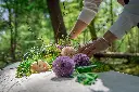 6. Loop Living Cocoon™  - ©Loop Biotech.webp