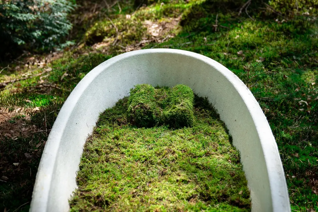 3. Loop Living Cocoon™  - ©Loop Biotech.webp