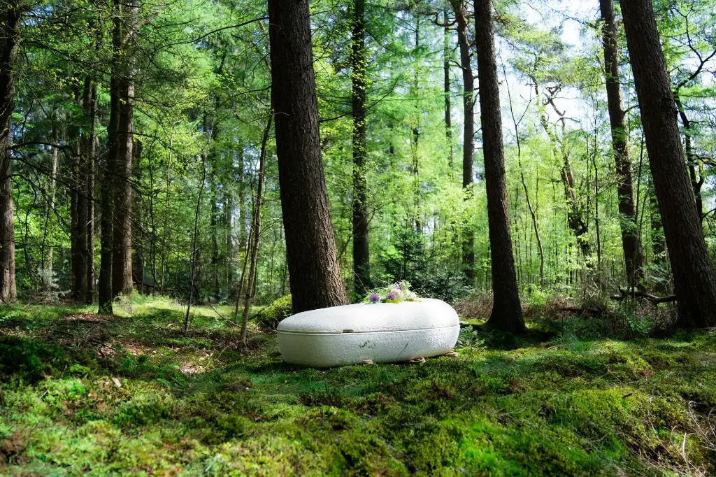 4. Loop Living Cocoon™  - ©Loop Biotech.webp