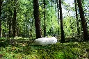 4. Loop Living Cocoon™  - ©Loop Biotech.webp