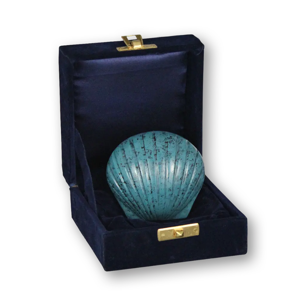 darkblueshell_box.webp