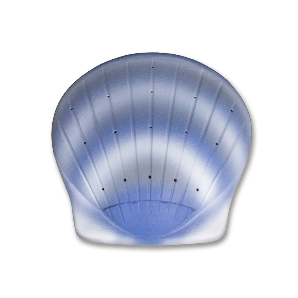 Shell_Aqua_Bottom_Shadow.webp