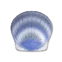 Shell_Aqua_Bottom_Shadow.webp