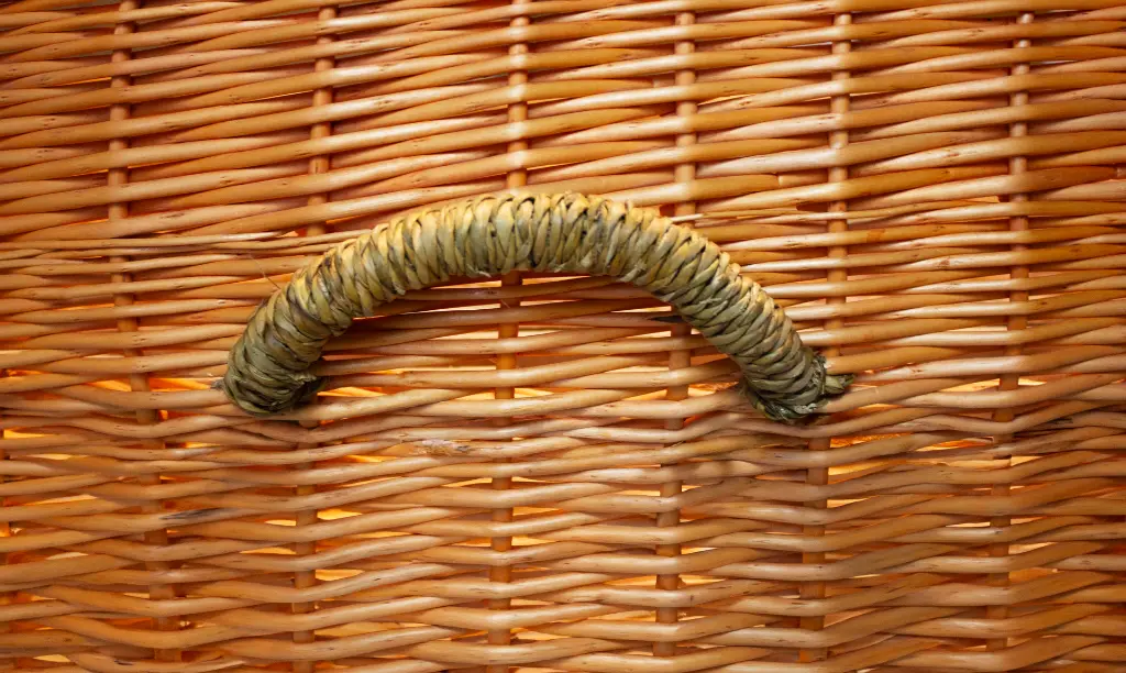 Willow Carrier Orange Handle CLOSEUP.webp