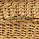 Willow_Casket_Handle.webp