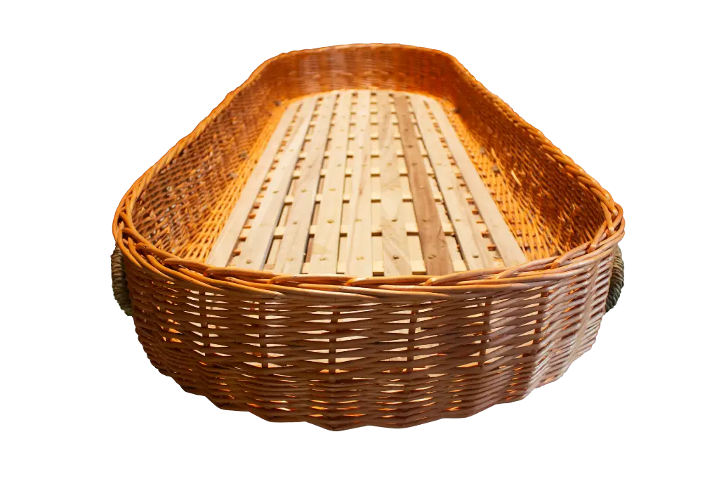 Willow Carrier Orange.webp