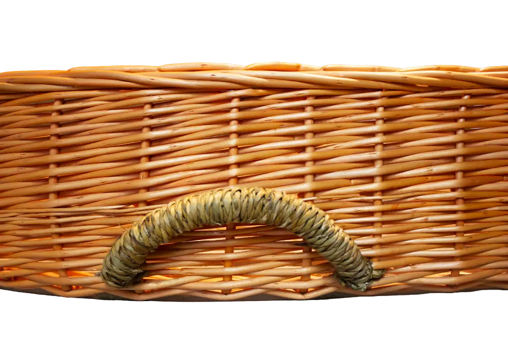 Willow Carrier Orange Handle.webp