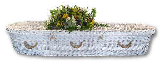 [WIL-CKWH-59] Windsor, White Willow Casket (5'9")
