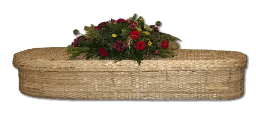 [BAM-CK-59] Berkshire, Bamboo Casket (5'9")