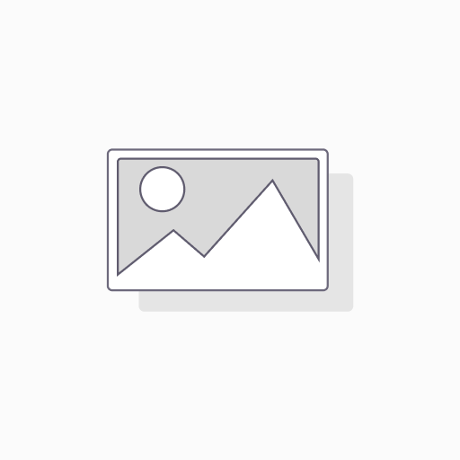 [41BDM-Dolphin] Mini Blooming Shapes (Dolphin)