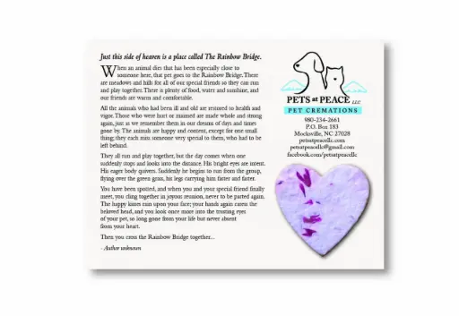 [41BBXL-Heart] Blooming Extra Large Card |100 Pack| (Heart)