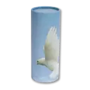  Scattering Tube | Adult / 200 CI |​