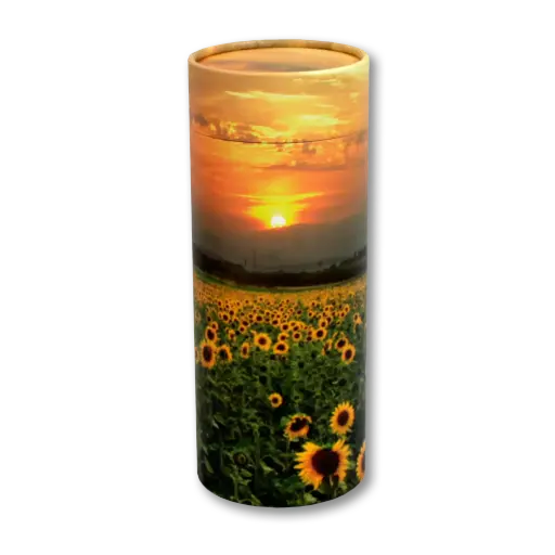 [STS-200] Scattering Tube |200 Cubic Inch| (Sunflower Fields)