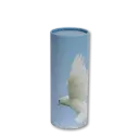 󠁃Scattering Tube | Medium / 100 CI |
