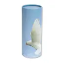 󠁅Scattering Tube | Extra Large / 240 CI |