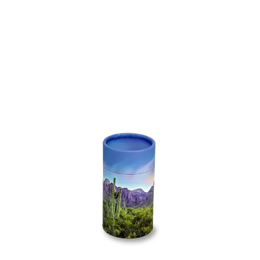 [STST-20]  Scattering Tube |Mini / 20 CI / No. 1|​​ (Saguaro Trail)