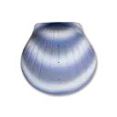 The Shell™ Urn