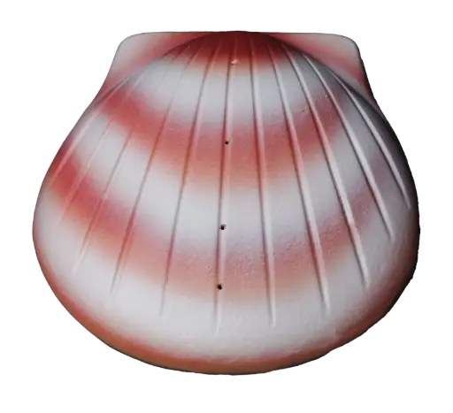 [CS-01] The Shell™ Urn (Coral)