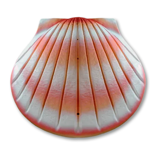 [CS-01] The Shell™ Urn (Coral)