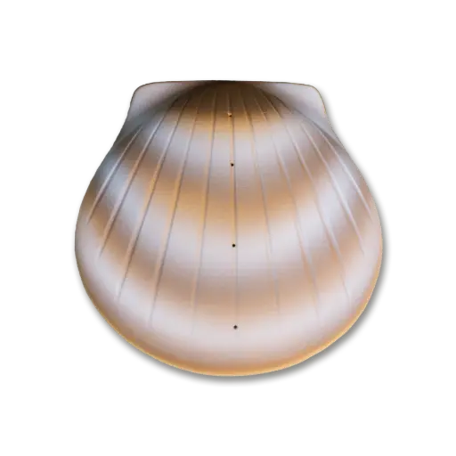 [PS-01] The Shell™ Urn (Pearl)