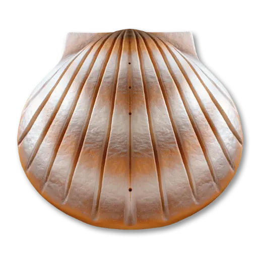 [PS-01] The Shell™ Urn (Pearl)