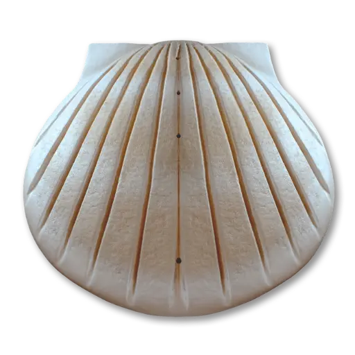 [SS-01] The Shell™ Urn (Sand)