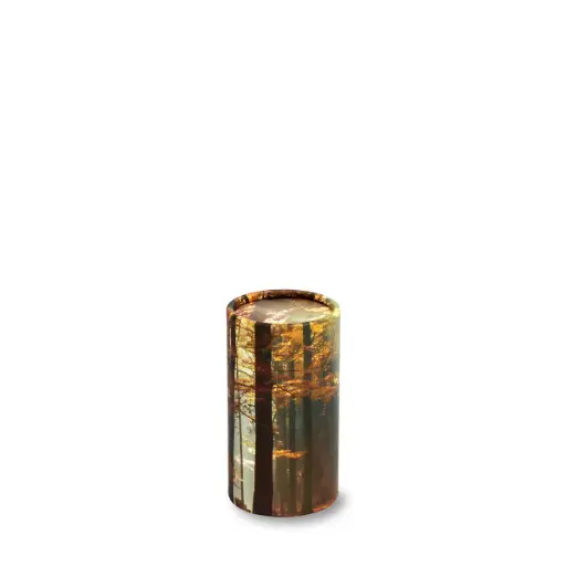 [STAW-10]  Scattering Tube |Token / 10 CI / No. 0|​​​​​ (Autumn Woods)
