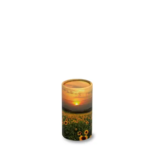 [STS-10] 󠁆Scattering Tube |Token / 10 CI / No. 0| (Sunflower Fields)