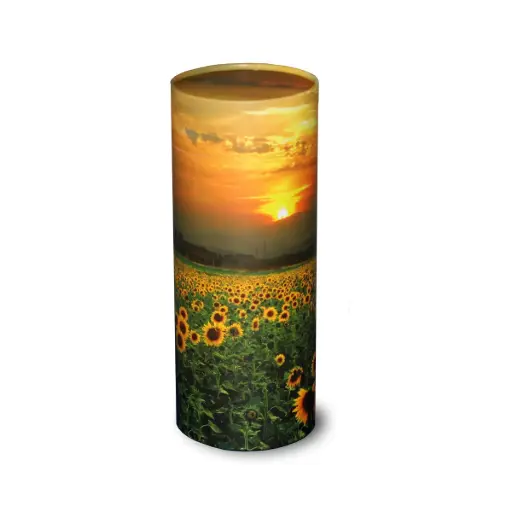 [STS-240]  Scattering Tube |XL / 240 CI / No. 5|​​​​​ (Sunflower Fields)