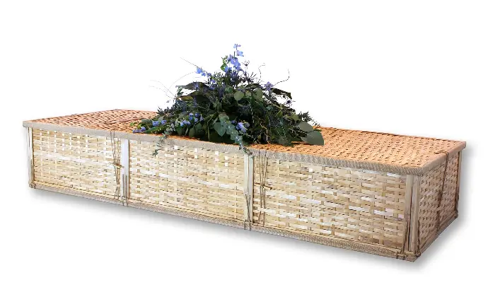 Simple Bamboo