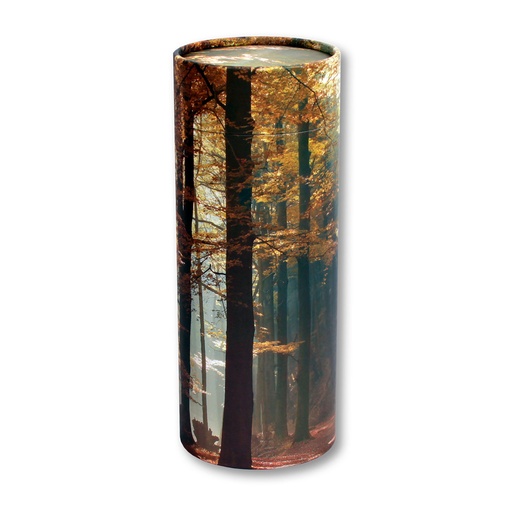 [STAW] Scattering Tube, Autumn Woods