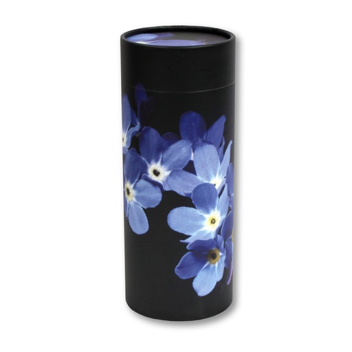 [STF] Scattering Tube, Forget Me Not
