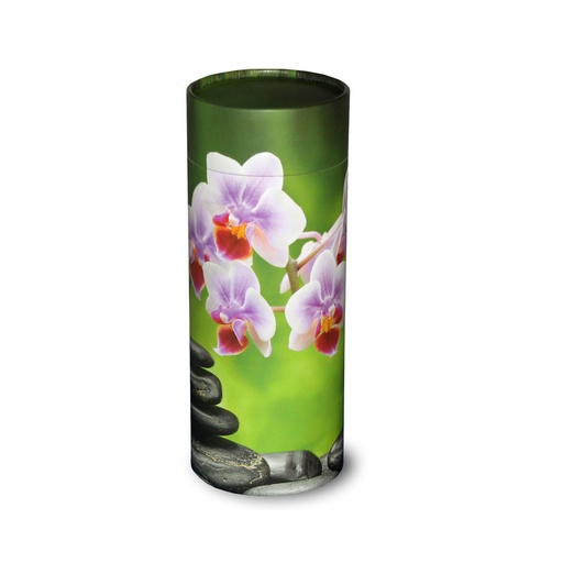 [STZO] Scattering Tube, Orchid