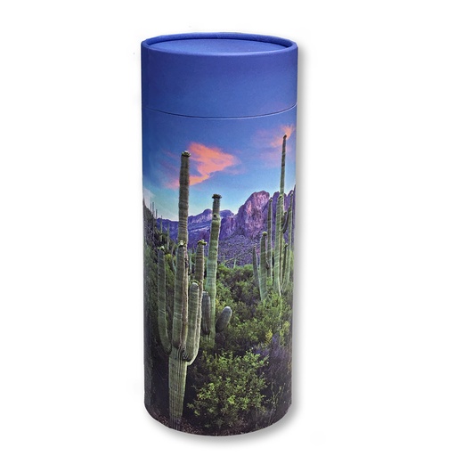 [STST] Scattering Tube, Saguaro Trail